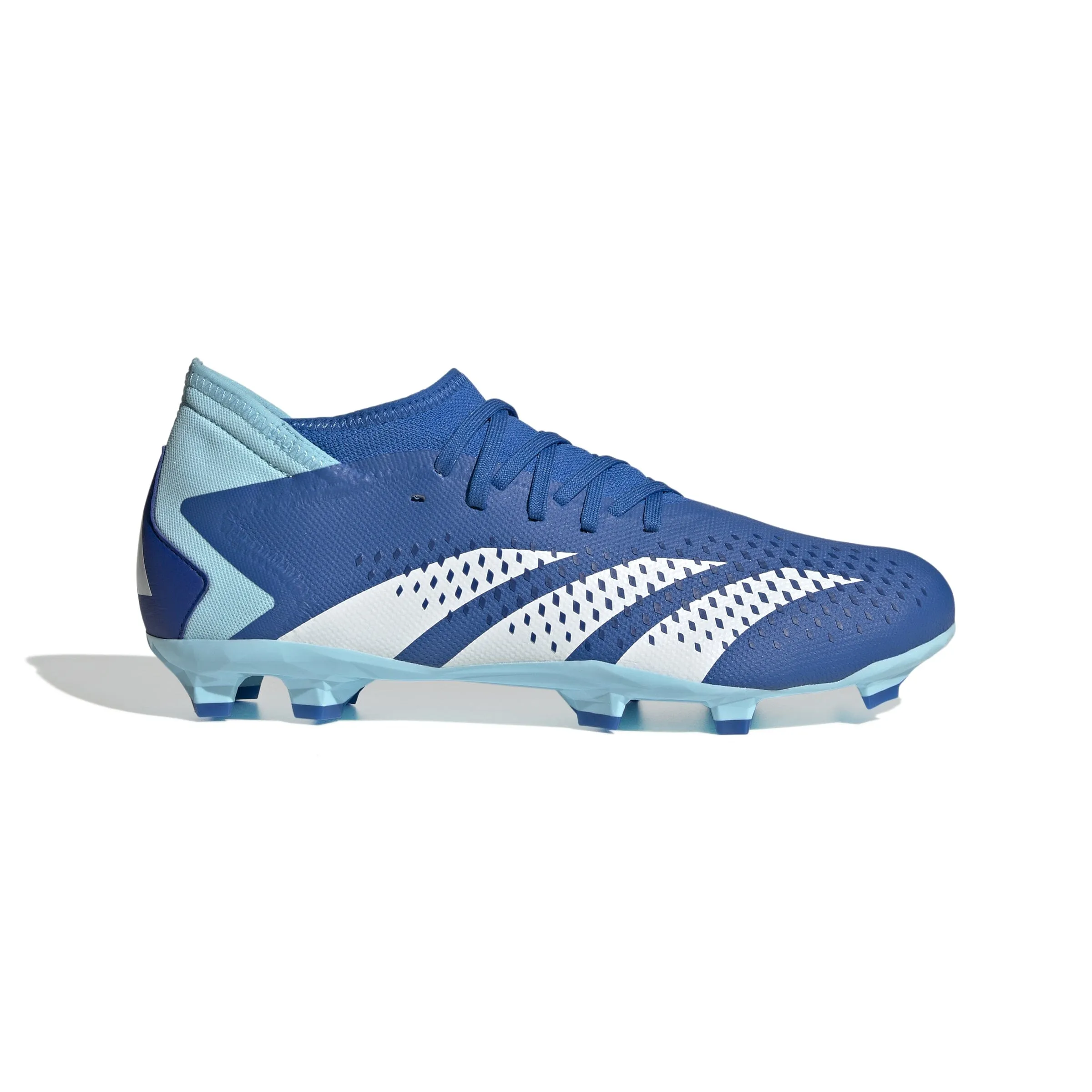 adidas Unisex Predator Accuracy.3 Firm Ground Cleats | GZ0026