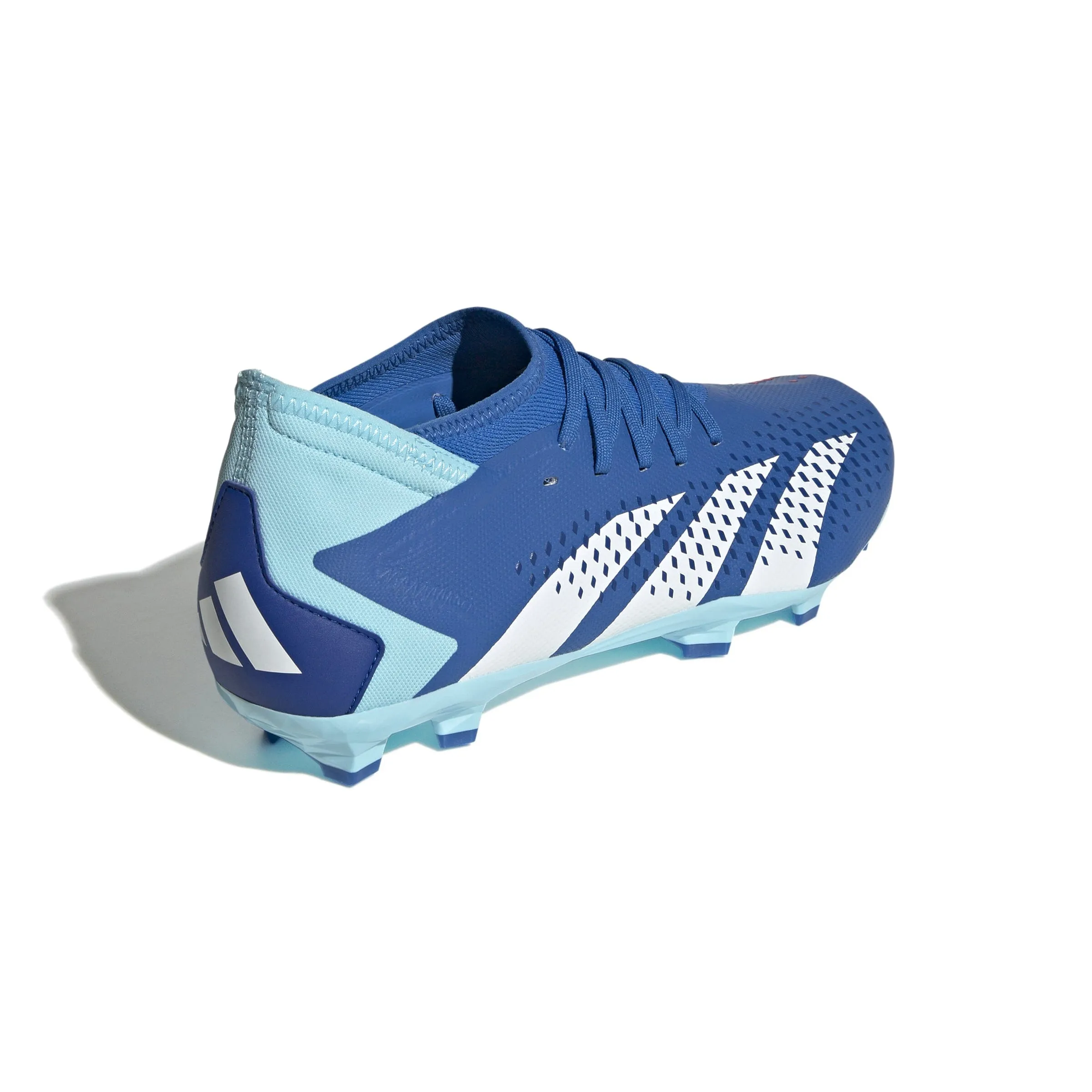 adidas Unisex Predator Accuracy.3 Firm Ground Cleats | GZ0026