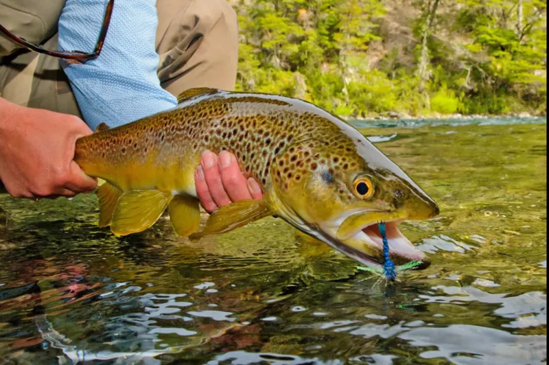 Best of Patagonia Combination Trip