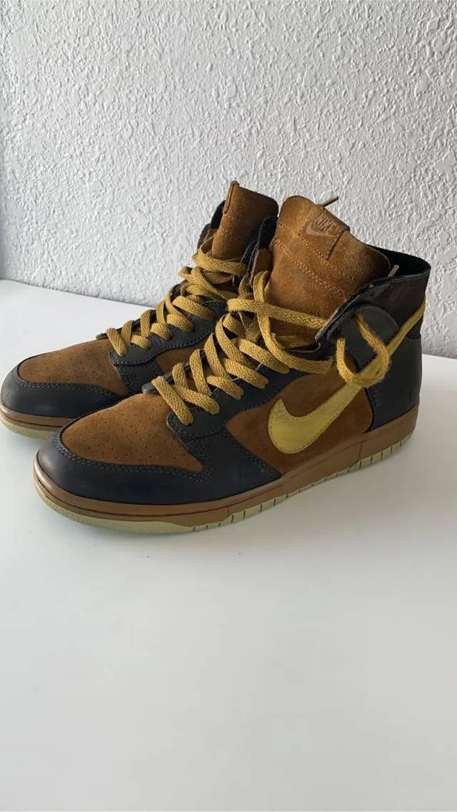 Nike dunk high nl golden hoops