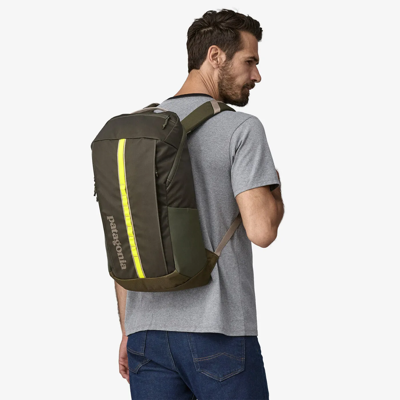 Patagonia - Black Hole Pack 25L - Pine Needle Green-