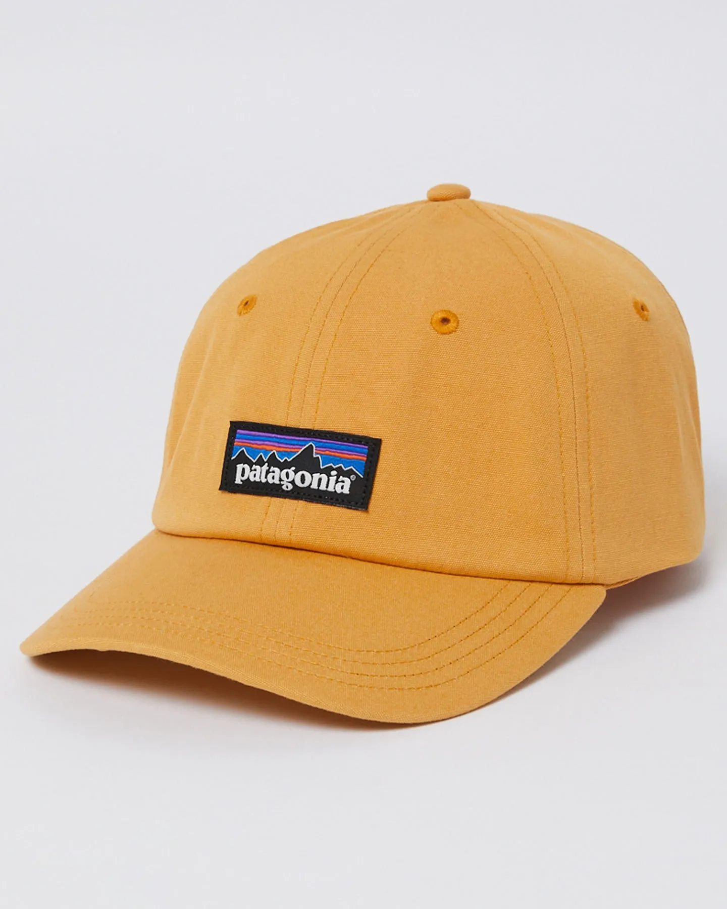 Patagonia P-6 Label Trad Cap - Dried Mango | SurfStitch