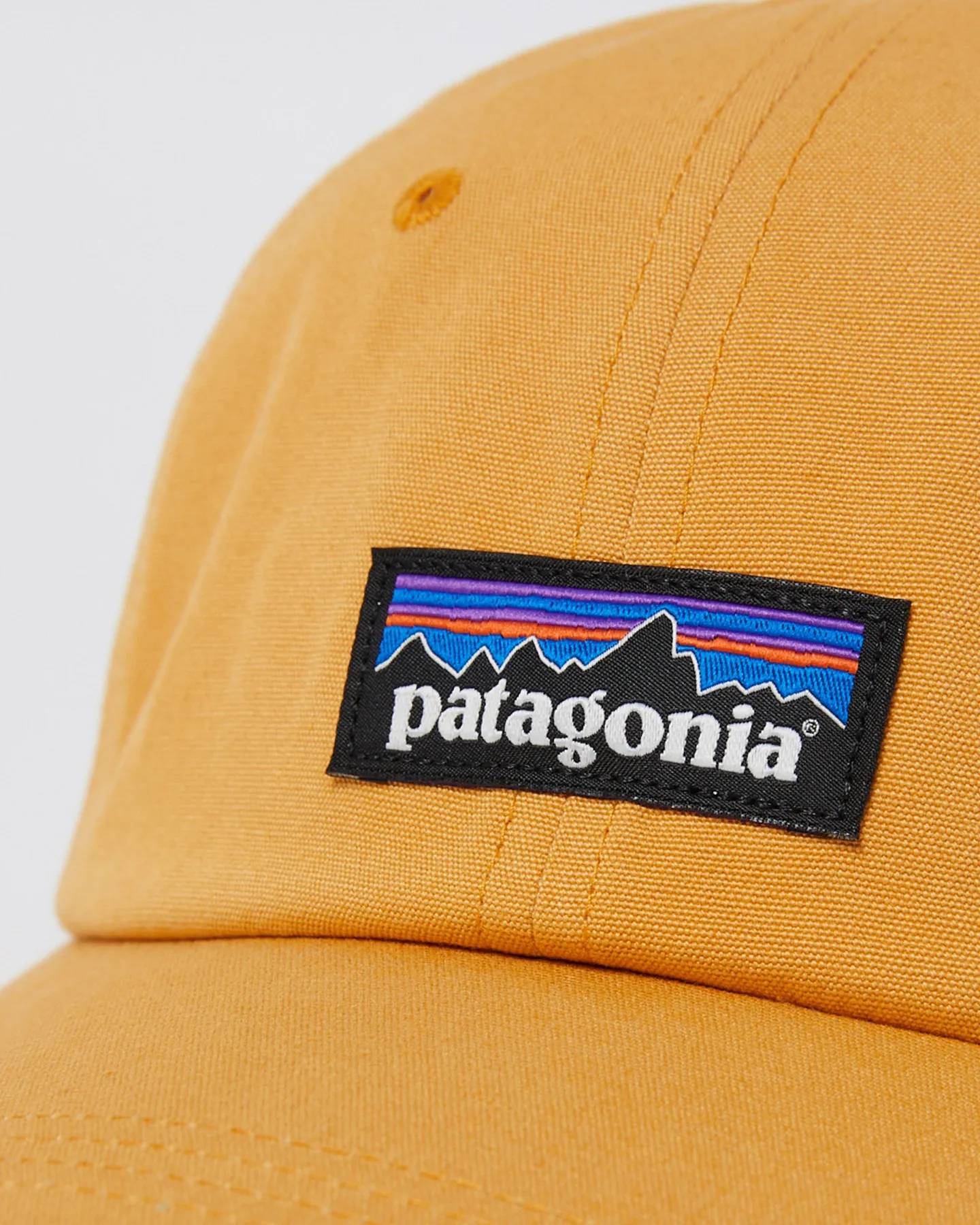 Patagonia P-6 Label Trad Cap - Dried Mango | SurfStitch